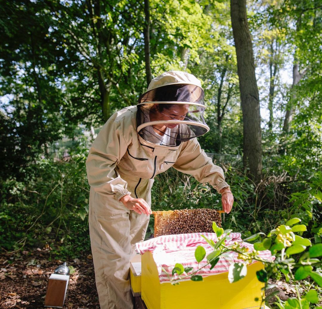 Beekeeping