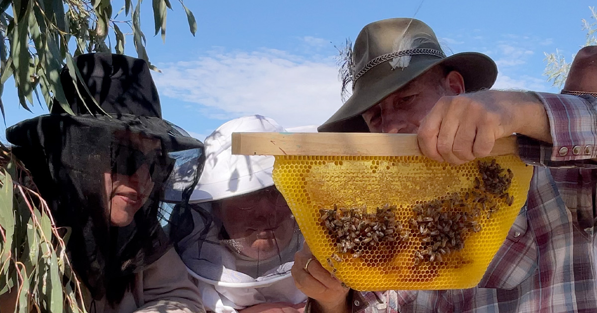 to Natural Beekeeping