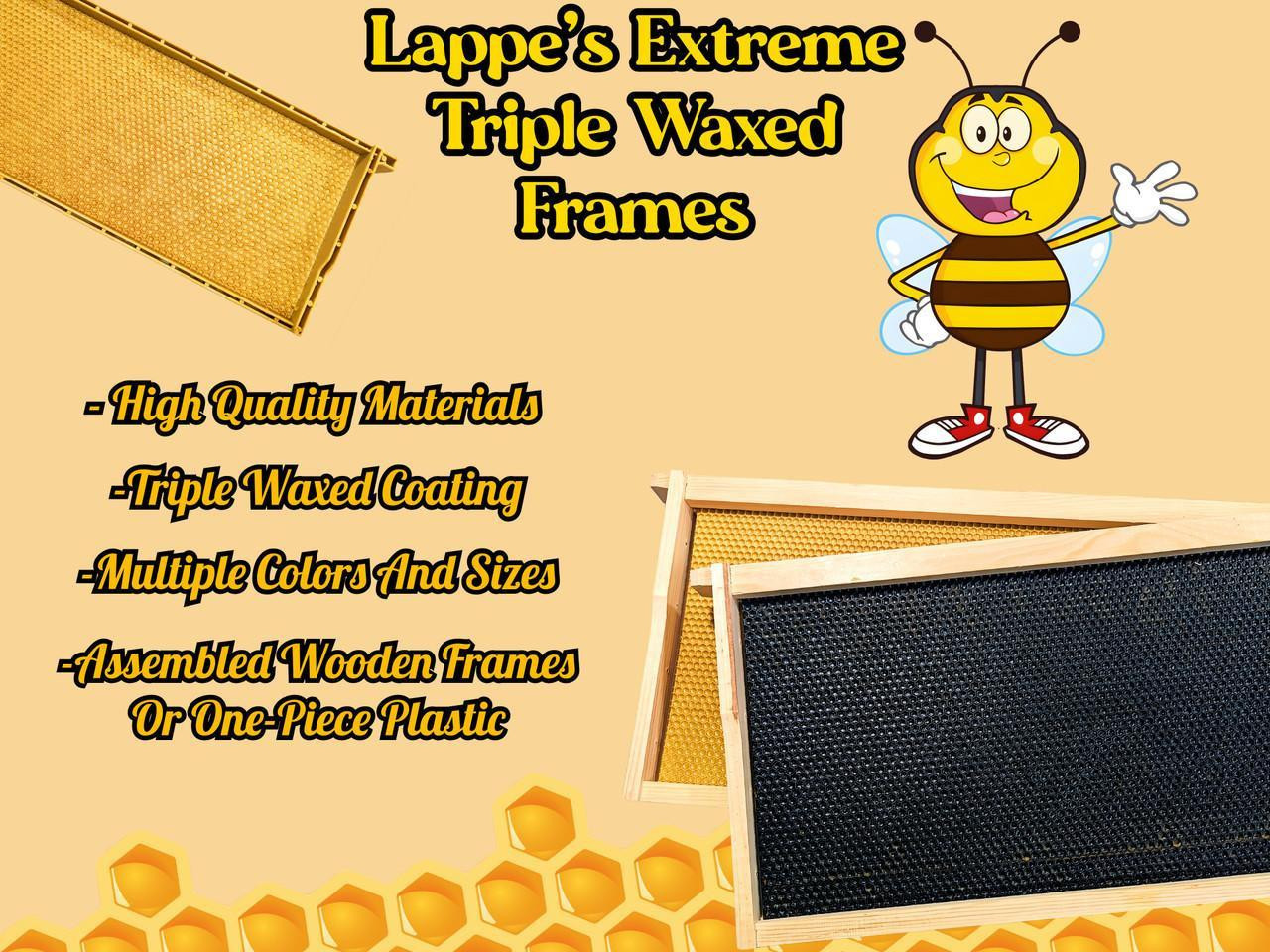 Beginner Beekeeping: Legal Checklists and First-Year Supplies