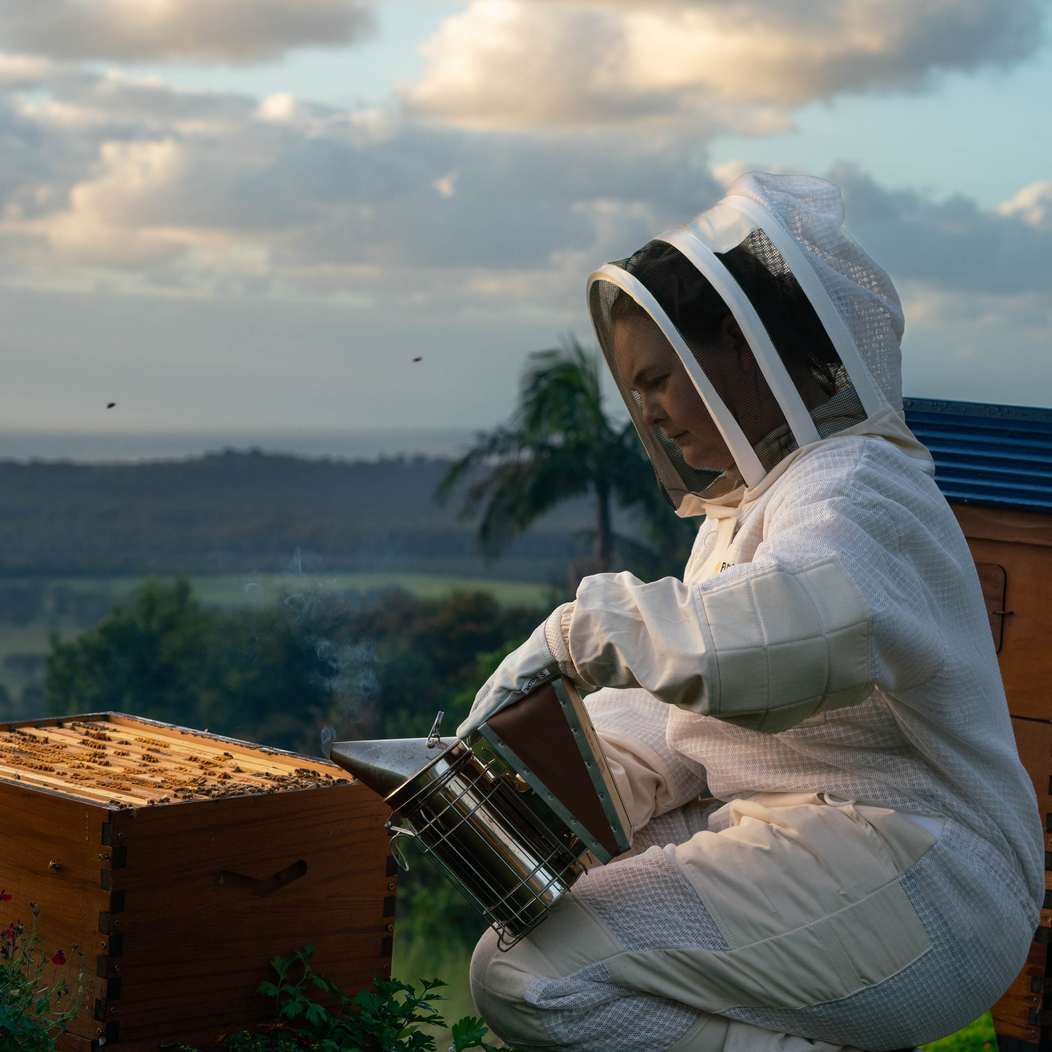 Beginner Beekeeping: Kits, Laws, and Natural Methods