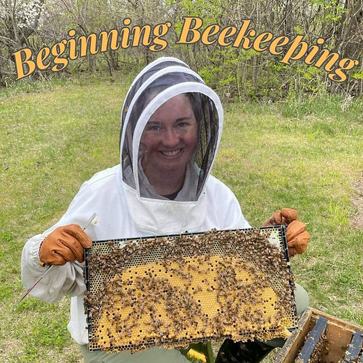 Beginner Beekeeping