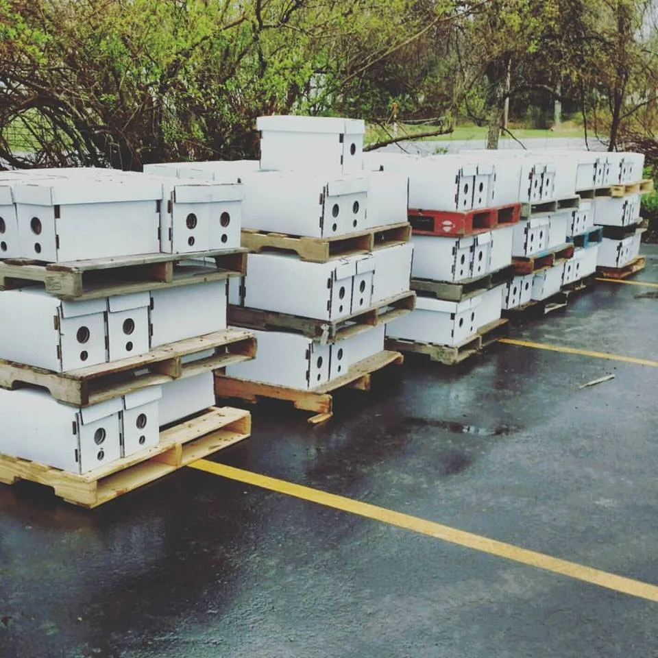 Installing Your Nuc — Masterson's Garden Center, Inc.