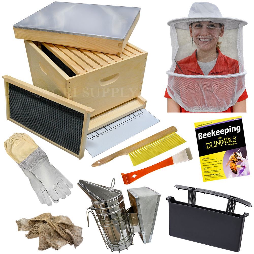 2026 Beekeeping Starter Kit guide: Essential Supplies, Natural Techniques, and Legal Updates for Beginners