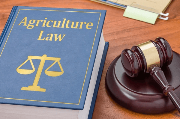 2026 Beekeeping Laws: What New Beekeepers Must Know