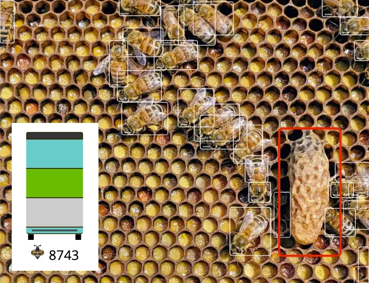 AI-Powered Beehive Monitoring: How Smart Technology is Revolutionizing Beekeeping in 2026