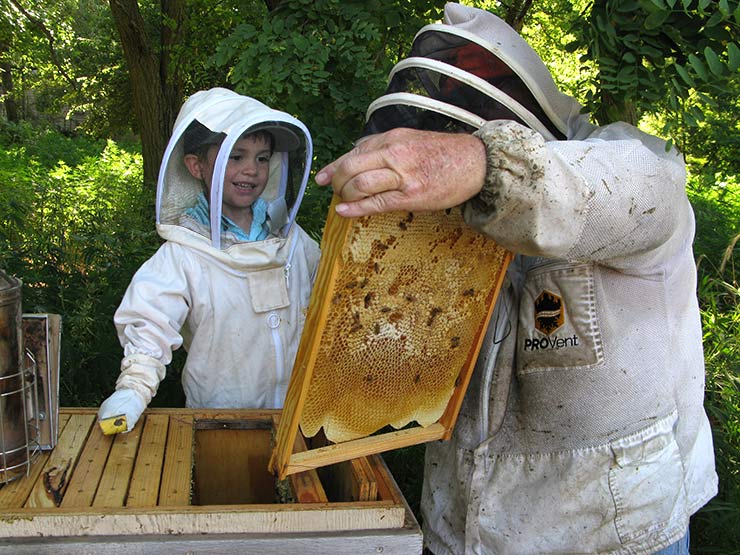 Best Natural Beekeeping Starter Kits for 2026