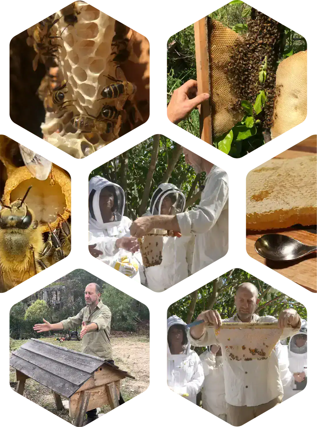 Natural beekeeping techniques