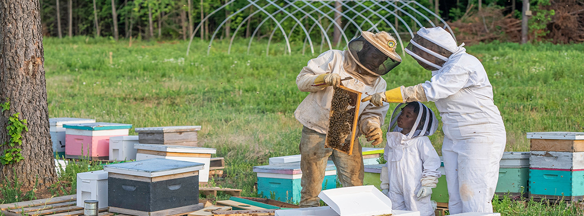 Beginner Beekeeping