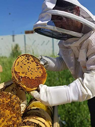 Harvest Supreme Top Bar Beehive