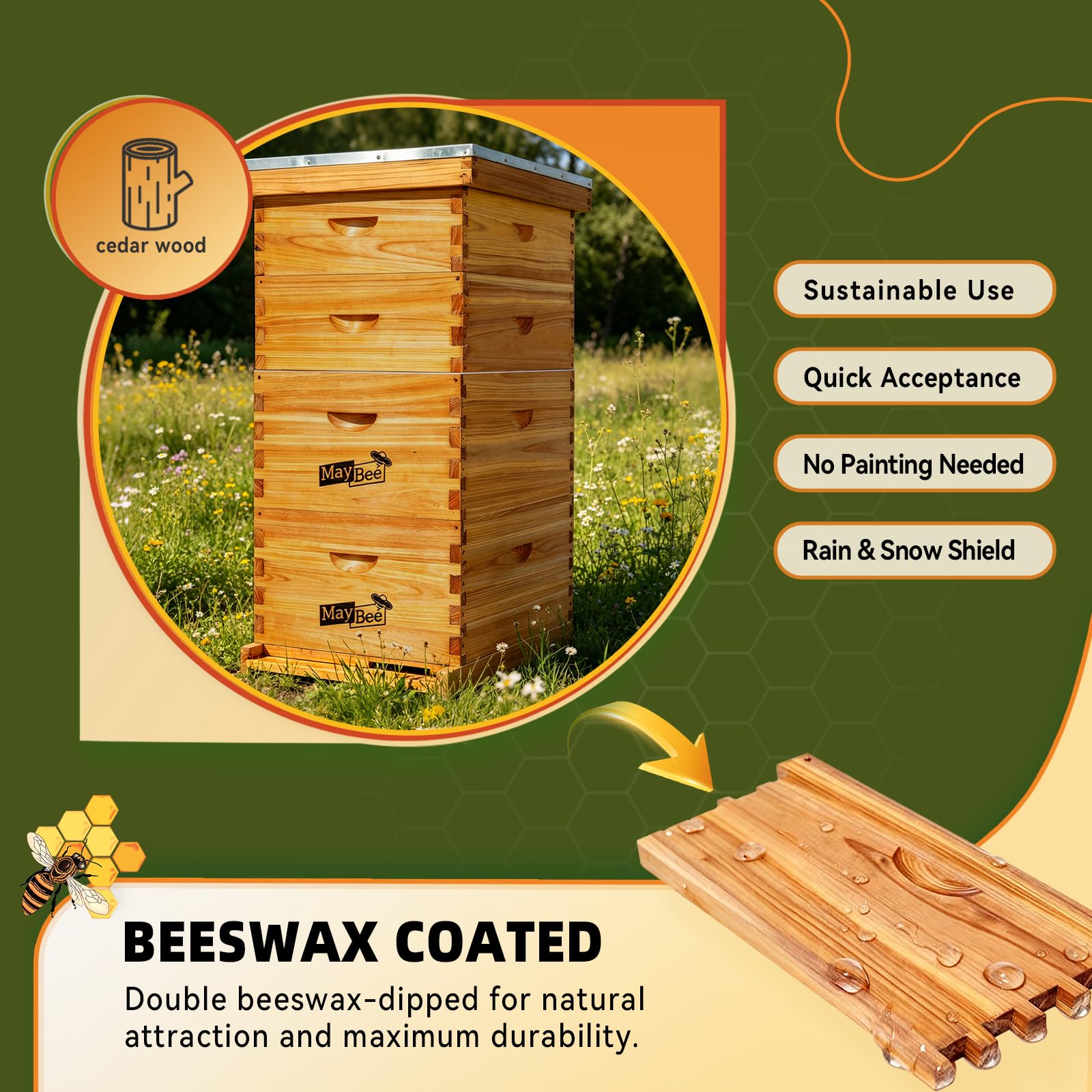 Complete Beekeeping Starter Set