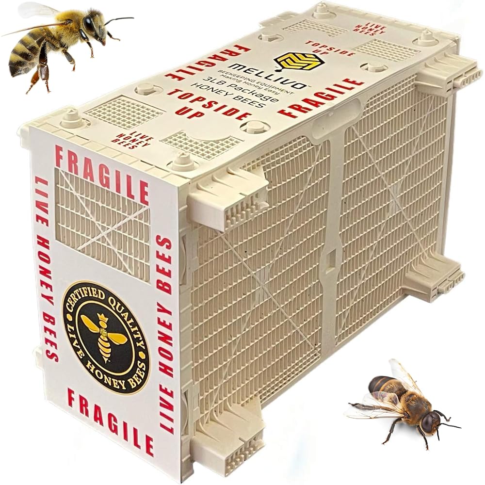 Live Bee Package