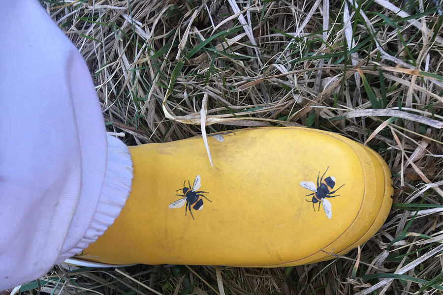 beekeeping boots