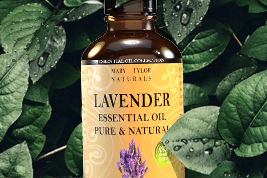 lavender essential oil
