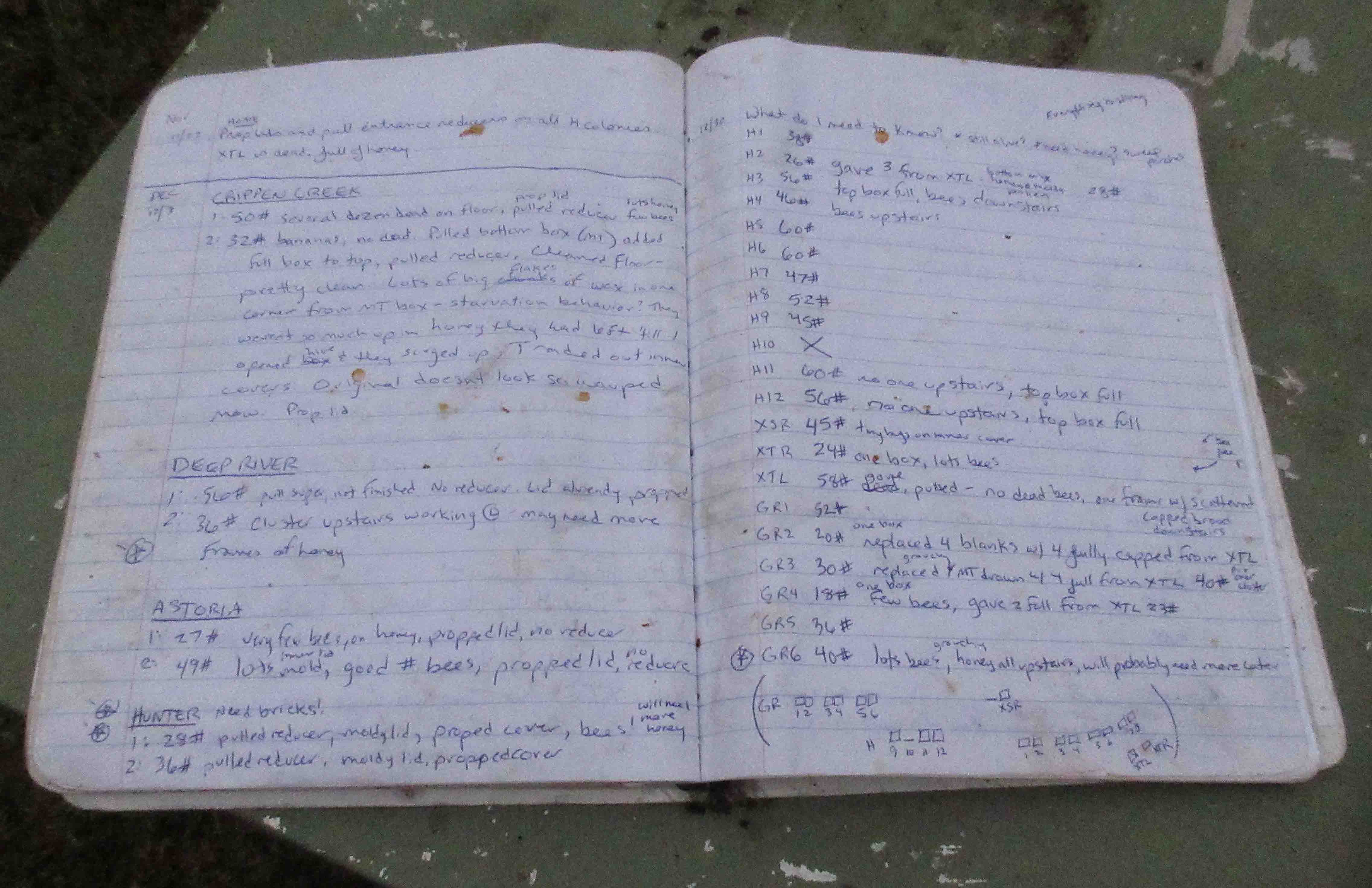 beekeeping hive records