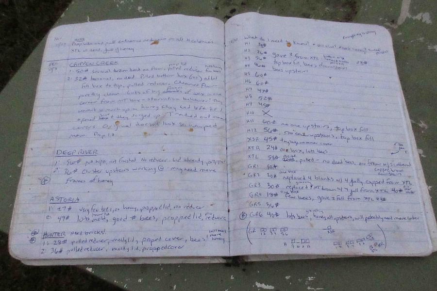 beekeeping hive records