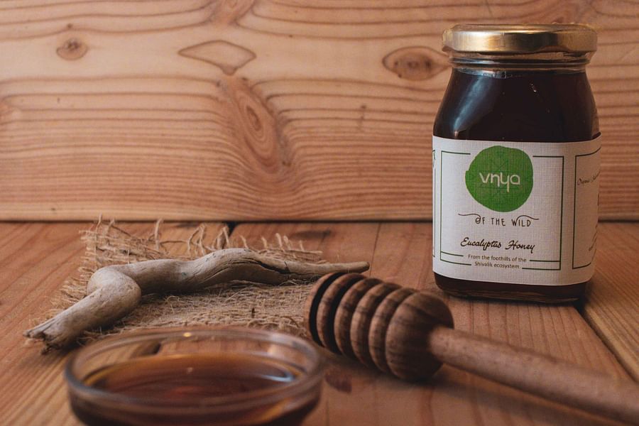 Eucalyptus Honey