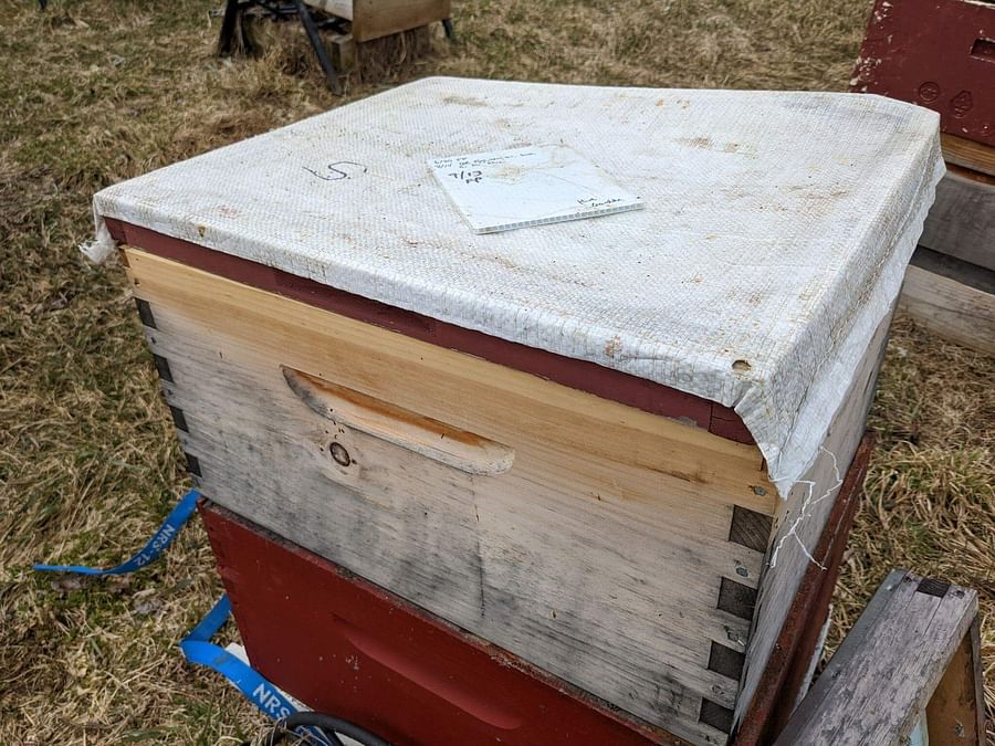 Assortment of DIY beekeeping tools and equipment