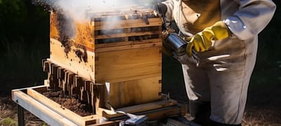 DIY Beekeeping Equipment