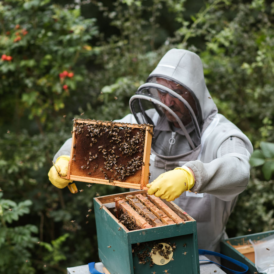 Beekeeper wearing personal protective equipment while crafting beekeeping tools