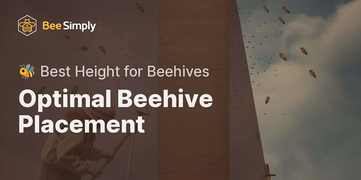 What is the height for placing beehives off the ground?