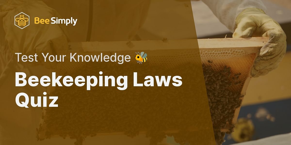 Local Beekeeping Laws Quiz Test Your Knowledge Bee Simply