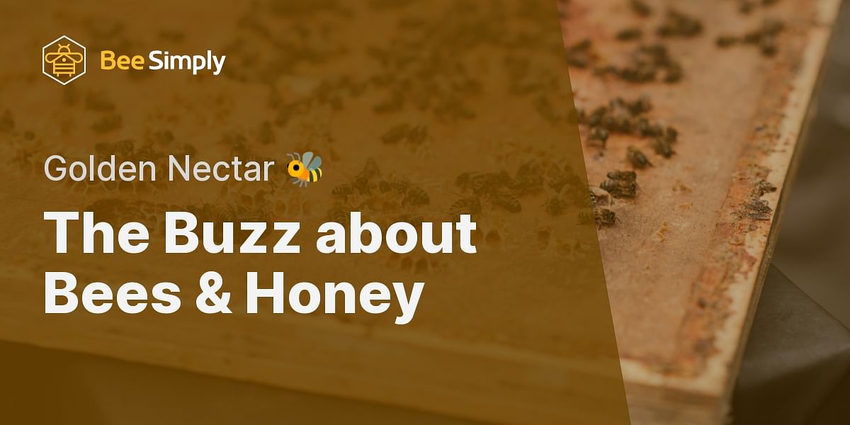 Sweet Liquid Gold: Understanding Bees and Honey Harvesting Bee Simply