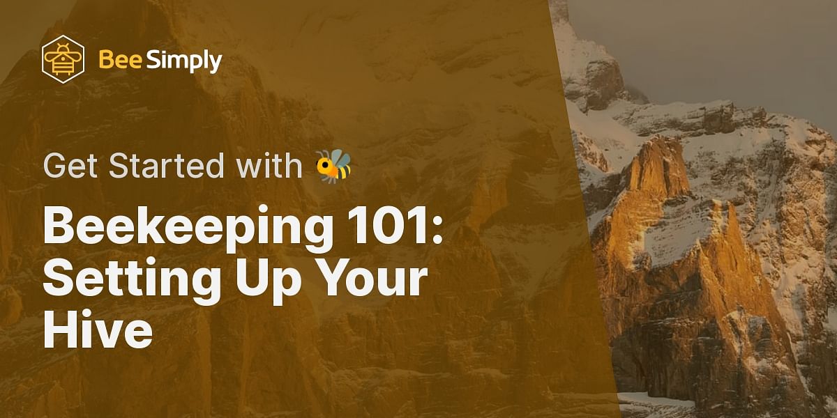 A StepbyStep Guide to Setting Up Your First Hive Bee Simply