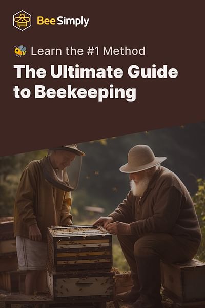 What Is The Most Effective Method To Learn Beekeeping?