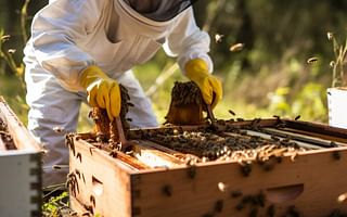 What are the common challenges faced by beginner beekeepers?